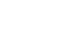 Universal Eye Security & Service GmbH